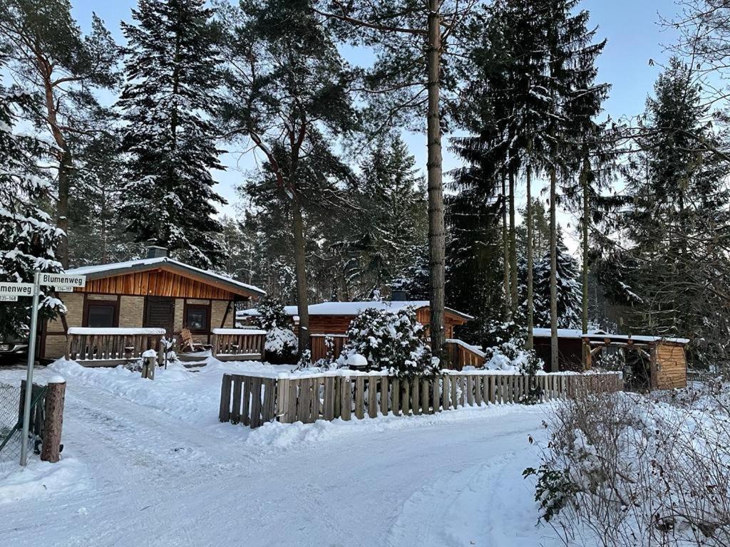 Vila Haus Brunhilde Plodda Exteriér fotografie
